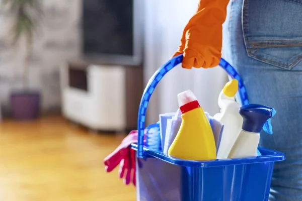 Professional Cleaning Company